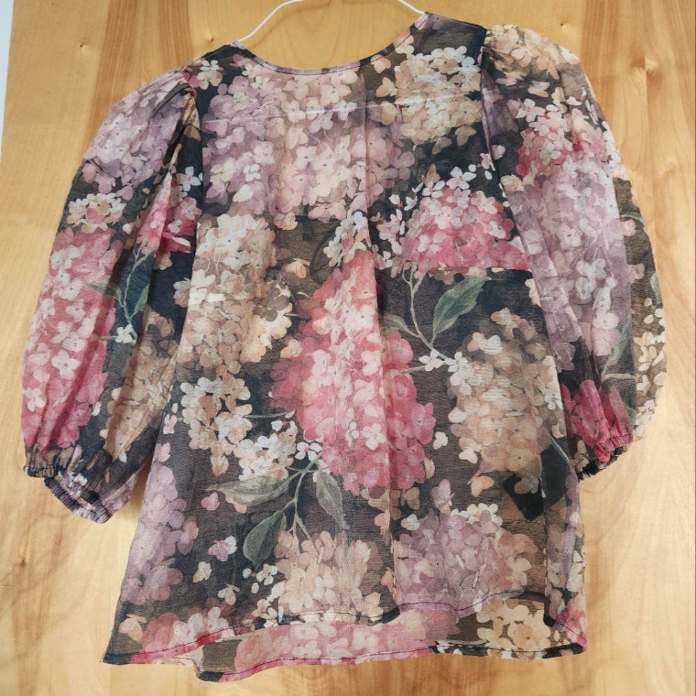 Sheer Hydragraga puff sleeve top